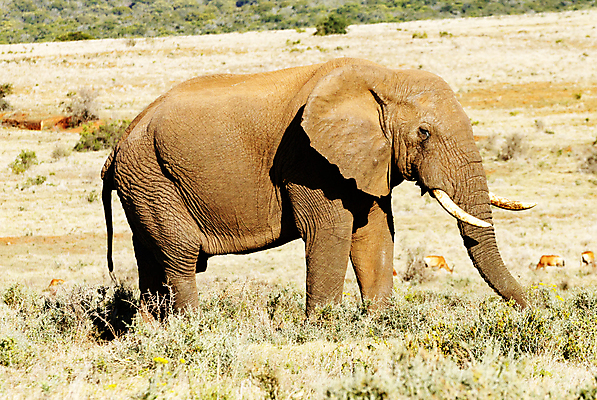 포토 JPG 해외이미지 여행 사람없음 여행객 해외포토 사람 파일형식 이미지허브