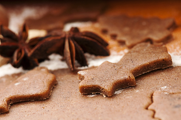 포토 JPG 해외이미지 모양 전통 계절 별 음식 백그라운드 크리스마스 겨울 오렌지 휴가 디저트 새해 건조 사람없음 장식 갈색 쿠키 금속 숟가락 견과류 시골 축하 막대기 황금 달콤 굽기 향신료 오브젝트 준비 반죽 밀가루 아몬드 향 성분 시나몬 커터 핸드메이드 헤이즐넛 해외포토 자연요소 기념일 컬러 컨셉 과일 재질 수저 맛 가루 구이 향미료 파일형식 이미지허브