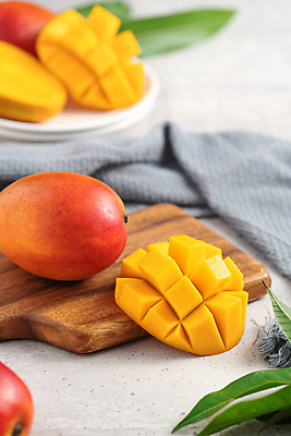 포토 JPG 해외이미지 스튜디오촬영 나뭇잎 쟁반 사람없음 목재 노란색 망고 해외포토 나무 컬러 잎 재료 실내 열대과일 파일형식 이미지허브