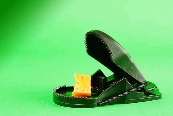 포토 JPG 해외이미지 음식 백그라운드 컨셉 치즈 경고 사람없음 초록색 장비 금지 잡기 맛 위험 플라스틱 유혹 오브젝트 조심 올가미 미끼 욕심 제어 해외포토 컬러 모션 재질 유제품 파일형식 이미지허브