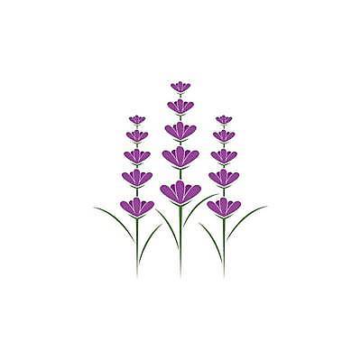 EPS 해외이미지 식물 손 디자인 꽃 꽃다발 백그라운드 잎 꽃무늬 일러스트 자연 건강 미술 그래픽 치료 장식 라벨 정원 보라색 스파 봄 벚꽃 흰색 신선 원형 신용카드 허브 제비꽃 심볼 향수 유기농 심플 아로마 아로마테라피 라벤더 내추럴 고립 엘리먼트 프로방스 활자 해외일러스트 도형 웰빙 계절 컬러 무늬 의학 문화예술 프레임 신체부위 금융 화장품 생태계 테라피 활자판 파일형식 벡터 이미지허브