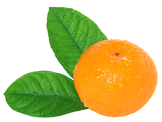 포토 JPG 해외이미지 음식 잎 오렌지 과일 귤 건강 사람없음 젖음 껍질 달콤 떨어짐 흙더미 고립 해외포토 식물 컨셉 흙 맛 파일형식 더미 이미지허브