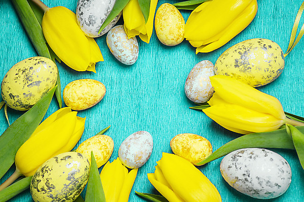 포토 JPG 해외이미지 식물 전통 계절 꽃 행복 음식 꽃다발 백그라운드 자연 탁자 휴가 부활절 선물 이벤트 사람없음 목재 장식 초록색 컬러풀 뷰티 노란색 우주 계란 축제 봄 튤립 벚꽃 시골 축하 인사 신선 신용카드 정상 4월 다발 심볼 파스텔톤 해외포토 나무 기념일 감정 컬러 가구 컨셉 재료 금융 알 예절 날짜 생태계 파일형식 이미지허브