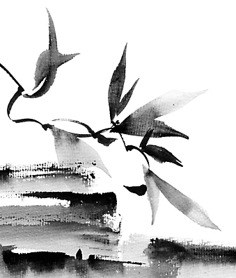 JPG 해외이미지 잎 일러스트 붓터치 수묵화 사람없음 검은색 나뭇가지 동양화 번짐 해외일러스트 나무 식물 컬러 미술 파일형식 효과 이미지허브