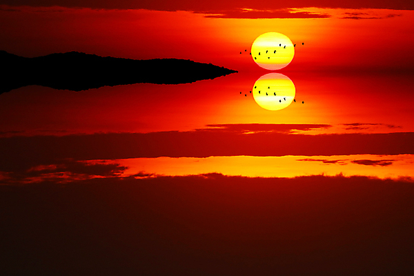 포토 JPG 해외이미지 구름 계절 실루엣 야생동물 바다 여행 백그라운드 컨셉 날개 오렌지 가족 모션 자연 조류 하늘 주택 함께함 따뜻함 안테나 풍경 사람없음 빨간색 물 여름 빛 햇빛 태양 노란색 평화 일출 일몰 자유 가을 그룹 황금 야간 저녁 천국 바둑 내추럴 넘어짐 수평선 해외포토 자연요소 동물 컬러 과일 통신 관계 놀이 촬영기법 건물 노을 생태계 파일형식 이미지허브