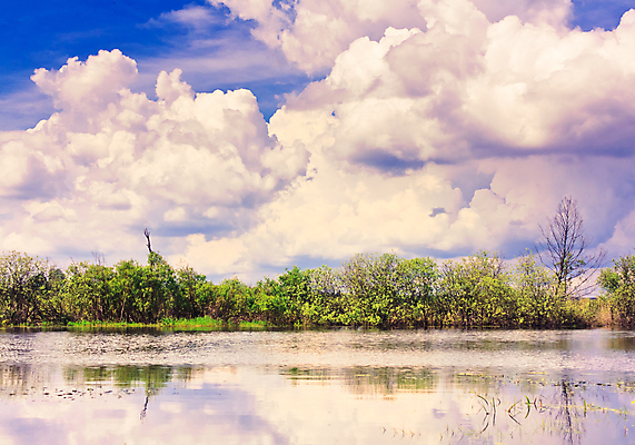 포토 JPG 해외이미지 식물 구름 공원 호수 물결 여행 자연 유리 하늘 풍경 사람없음 야외 물 여름 파란색 강 컬러풀 반사 노란색 봄 거울 시골 신선 만족 스카이라인 내추럴 강렬 수평선 해외포토 자연요소 계절 공공시설 감정 컬러 재질 생태계 파일형식 이미지허브