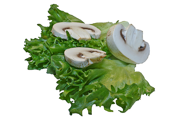 포토 JPG 해외이미지 음식 백그라운드 잎 채소 사람없음 초록색 버섯 샐러드 흰색 신선 아침식사 채식 해외포토 식물 컬러 식사 파일형식 이미지허브