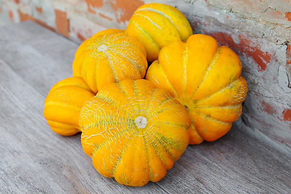 포토 JPG 해외이미지 음식 농업 다이어트 채소 과일 재료 자연 건강 종류 사람없음 노란색 쌓기 줄무늬 수확 신선 달콤 멜론 유기농 날것 내추럴 밭일 숙성 채식주의자 세련 맛있는 해외포토 웰빙 산업 컬러 무늬 모션 맛 생태계 채식 파일형식 이미지허브