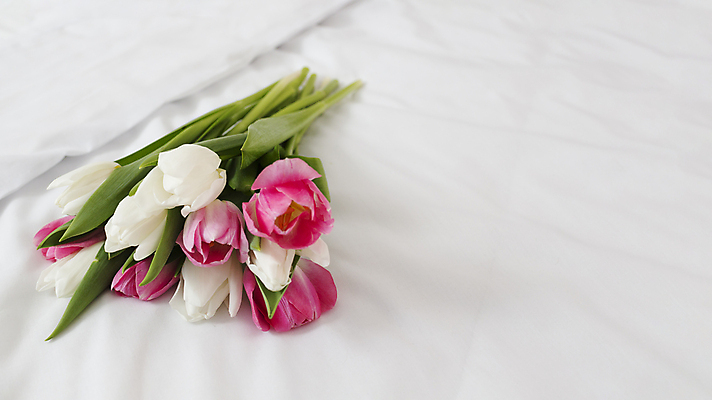 포토 JPG 해외이미지 꽃다발 실내 사람없음 이불 튤립 침대 흰배경 카피스페이스 해외포토 꽃 가구 백그라운드 침구 내부 공백 흰색 파일형식 이미지허브