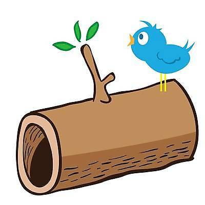 EPS 해외이미지 모양 동물 일러스트 노래 자연 조류 야외 목재 그래픽 파란색 원형 그리기 숲 만화 자르기 그림 통나무 나무껍질 잡동사니 내추럴 고립 수목 엘리먼트 해외일러스트 도형 나무 음악 컬러 재료 모션 껍질 생태계 파일형식 벡터 이미지허브