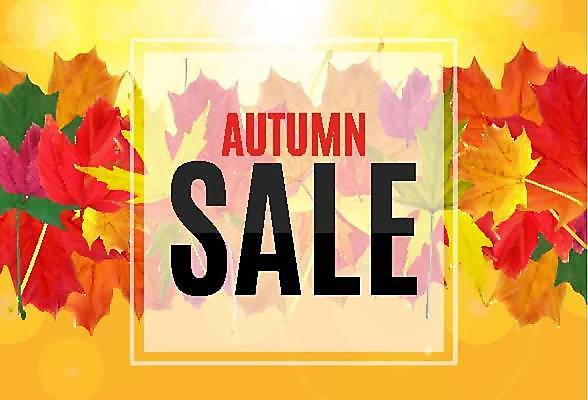 EPS 해외이미지 배너 단풍 낙엽 일러스트 이벤트 사람없음 노란색 세일 해외일러스트 컬러 잎 파일형식 벡터 이미지허브