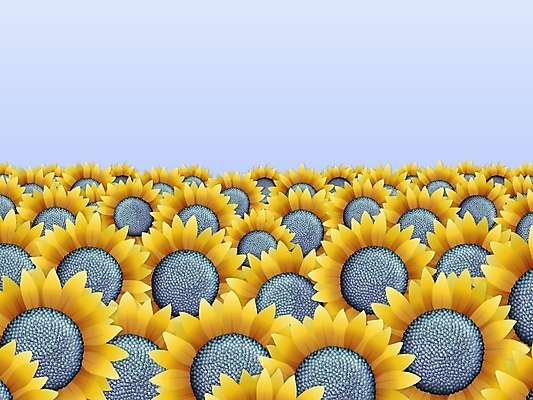 포토 JPG 해외이미지 꽃밭 일러스트 해바라기 사람없음 해외일러스트 꽃 파일형식 이미지허브