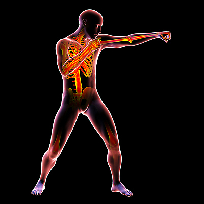 포토 JPG 해외이미지 디자인 남자 실루엣 스포츠 포즈 백그라운드 이동 컨셉 신체 일러스트 해부 근육 골격 건강 사람 사람없음 운동 3D 검은색 힘 권투 마네킹 연습 척추 체육관 역동적 싸움 근육질 에어로빅 팔 고립 승자 운동가 이두근 챔피언 킥복싱 필승 해외일러스트 컬러 의학 모션 뼈 촬영기법 신체부위 격투기 춤 우승 몸매 디지털합성 파일형식 이미지허브