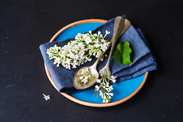 포토 JPG 해외이미지 접시 포크 검은배경 사람없음 숟가락 천 라일락 해외포토 식기 꽃 백그라운드 수저 검은색 직물 파일형식 이미지허브