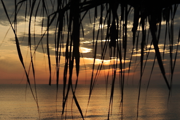 포토 JPG 해외이미지 계절 실루엣 모래 파도 바다 섬 여행 오렌지 자연 벽지 하늘 아침 휴식 사람없음 빛 햇빛 태양 뷰티 반사 여행객 일출 맑음 황혼 일몰 봄 서핑 황금 저녁 휴양지 흐림 수평선 해외포토 주간 자연요소 컨셉 과일 날씨 촬영기법 사람 노을 장소 수상스포츠 야간 생태계 파일형식 이미지허브