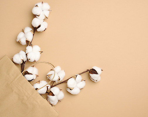 포토 JPG 해외이미지 사람없음 종이봉투 쇼핑백 면 유기농 담기 부드러움 목화꽃 목화솜 갈색배경 해외포토 웰빙 꽃 백그라운드 가방 모션 봉투 갈색 감각 솜 파일형식 이미지허브