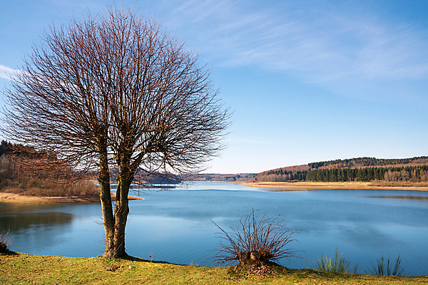 포토 JPG 해외이미지 나무 식물 유럽 호수 여행 자연 하늘 독일 파노라마 풍경 사람없음 야외 물 관광지 환경 봄 시골 저수지 숲 언덕 생태계 내추럴 해외포토 자연요소 계절 나라 촬영기법 파일형식 이미지허브