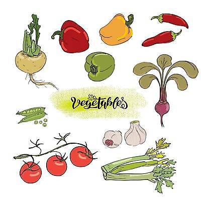 EPS 해외이미지 손 잎 토마토 채소 일러스트 자연 고추 가지 양파 마늘 초록색 세트 당근 샐러드 수확 맛 상추 스케치 수집 먹기 허브 오브젝트 완두콩 후추 고립 총각무 해외일러스트 식물 음식 컬러 컨셉 농업 모션 콩 뿌리채소 미술 신체부위 무 향신료 생태계 파일형식 벡터 이미지허브