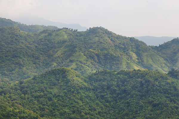포토 JPG 해외이미지 나무 식물 구름 계절 공원 여행 백그라운드 밭 자연 하늘 산 풍경 초원 사람없음 야외 목재 초록색 여름 파란색 환경 계곡 봄 황무지 정상 숲 열대우림 언덕 장면 내추럴 절정 해외포토 자연요소 공공시설 컬러 농업 재료 생태계 파일형식 이미지허브