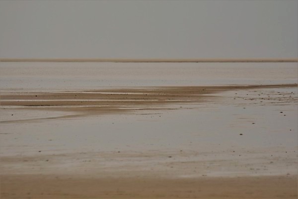 포토 JPG 해외이미지 유럽 모래 바다 섬 백그라운드 자연 조류 하늘 사람없음 야외 물 파란색 모래사장 반사 고요 황무지 소프트포커스 모래언덕 썰물 수평선 해외포토 자연요소 동물 나라 컬러 촬영기법 언덕 생태계 파일형식 이미지허브