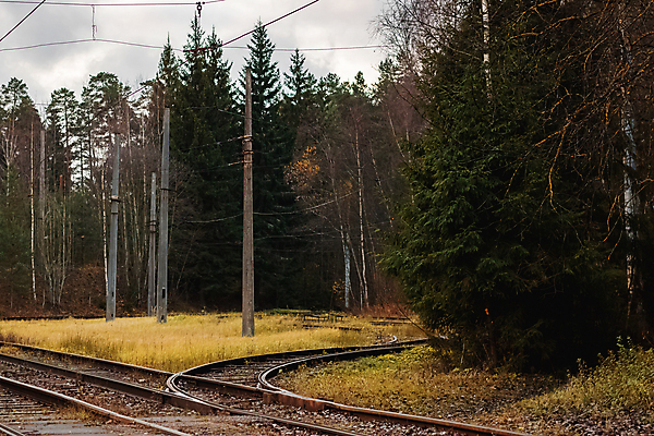 포토 JPG 해외이미지 나무 계절 공원 도로 길 선 백그라운드 잎 오렌지 교통시설 자연 풍경 사람없음 야외 목재 빨간색 노란색 기차 수확 안개 가을 도시 숲 생태계 전차 10월 방법 선로 해외포토 식물 공공시설 육상교통 컬러 교통 농업 과일 재료 날씨 대중교통 날짜 시설 파일형식 이미지허브