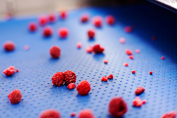 포토 JPG 해외이미지 공장 사람없음 아웃포커스 냉동 기계 제조 소프트포커스 알맹이 산딸기 식품공장 냉동식품 해외포토 음식 과일 공업 촬영기법 파일형식 이미지허브