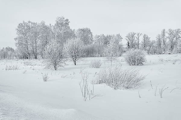 포토 JPG 해외이미지 나무 식물 구름 계절 공원 여행 백그라운드 크리스마스 밭 자연 하늘 지붕 날씨 산 주택 흑백 풍경 초원 사람없음 야외 목재 빛 울타리 햇빛 태양 뷰티 마을 환경 맑음 냉동 검은색 추위 흰색 시골 숲 오두막 언덕 서리 장면 교외 제설기 수평선 해외포토 자연요소 공공시설 기념일 컬러 농업 재료 촬영기법 건물 담장 생태계 제설 파일형식 이미지허브