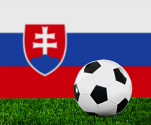 포토 JPG 해외이미지 디자인 스포츠 파도 백그라운드 밭 공 자연 놀이 성공 사람없음 야외 초록색 여름 검은색 축구 경쟁 경기장 장비 자유 게임 흰색 깃발 우승 원형 놀이터 가죽 심볼 오브젝트 사인 애국심 골 땅바닥 슬로바키아 여의주 전국 해외포토 도형 계절 유럽 바다 컬러 컨셉 농업 스포츠시설 바닥 구기 최고 생태계 파일형식 이미지허브