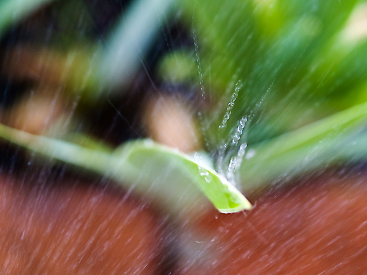 포토 JPG 해외이미지 식물 음식 잎 밭 농업 자연 건조 잔디 사람없음 초록색 물 우주 정원 장비 흐름 안개 흰색 물방울 시골 뜨거움 떨어짐 수분 플라스틱 뿌리기 유기농 분무기 가뭄 샤워실 스프링쿨러 해외포토 자연요소 웰빙 산업 컬러 컨셉 모션 재질 날씨 생태계 샤워시설 파일형식 이미지허브