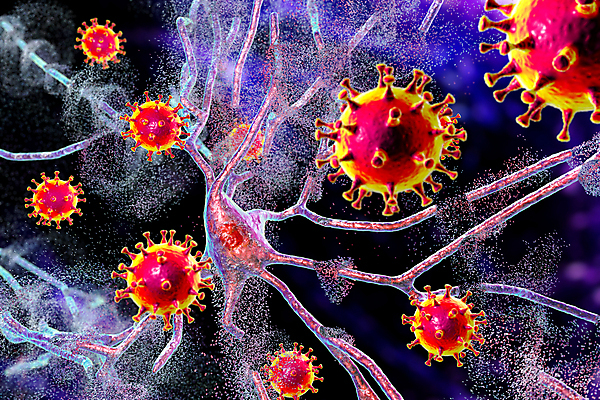 포토 JPG 해외이미지 동물 과학 컨셉 일러스트 세포 사람없음 3D 마음 네트워크 감각 조직 바이러스 질병 불안 뇌 코 냄새 전자 감염 전염 시스템 염증 인플루엔자 증상 치매 해외일러스트 감정 의학 신체부위 디지털합성 파일형식 이미지허브