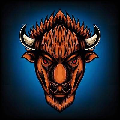 EPS 해외이미지 동물 캐릭터 디자인 얼굴 야생동물 스포츠 스티커 일러스트 뿔 미술 머리 라벨 축구 힘 야구 수확 분노 게임 소 만화 들소 문신 심볼 사인 그림 황소 복고 육식동물 배지 고립 공격적 마스코트 엘리먼트 챔피언 해외일러스트 일러캐릭터 감정 컨셉 농업 포유류 놀이 문화예술 프레임 신체부위 구기 파일형식 벡터 이미지허브