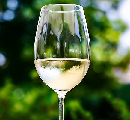 포토 JPG 해외이미지 주간 와인잔 한잔 사람없음 야외 아웃포커스 와인 화이트와인 해외포토 자연요소 1 술잔 주류 촬영기법 파일형식 이미지허브