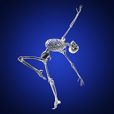 포토 JPG 해외이미지 모델 디자인 교육 남자 스포츠 조각 과학 포즈 백그라운드 이동 컨셉 신체 일러스트 요가 해부 뼈 골격 미술 사람 사람없음 그래픽 파란색 3D 힘 댄서 에너지 춤 발레 척추 역동적 체조 마법 궤 스타일 해외일러스트 직업 웰빙 컬러 의학 문화예술 운동 디지털합성 파일형식 이미지허브