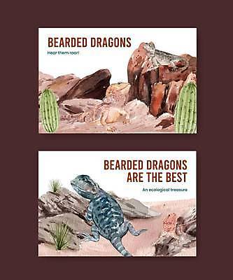 EPS 해외이미지 야생동물 일러스트 수채화 선인장 동물원 사람없음 갈색 바위 도마뱀 해외일러스트 식물 동물 컬러 파충류 돌_바위 파일형식 벡터 이미지허브