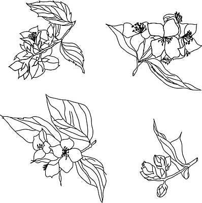 EPS 해외이미지 식물 야생동물 꽃무늬 일러스트 자연 장식 정원 생물학 해외일러스트 동물 교육 꽃 무늬 생태계 파일형식 벡터 이미지허브