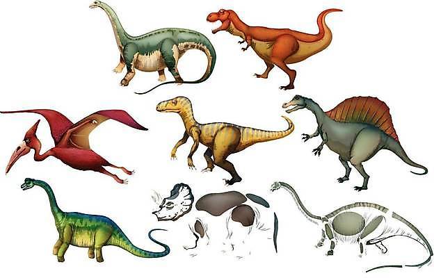 EPS 해외이미지 클립아트 동물 캐릭터 야생동물 백그라운드 일러스트 파충류 생물 미술 미소 그래픽 초록색 세트 위험 큼 만화 심볼 공룡 그림 클립 도마뱀 코믹 육식동물 화석 공상 선사시대 마스코트 몬스터 쥬라기 해외일러스트 일러캐릭터 컬러 컨셉 문화예술 표정 역사 크기 파일형식 벡터 이미지허브