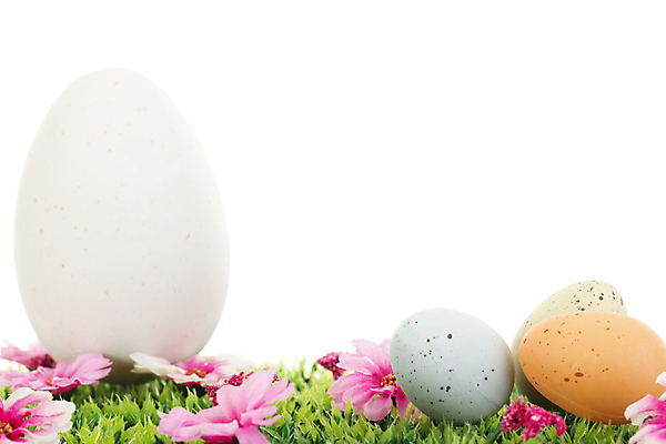 포토 JPG 해외이미지 전통 계절 꽃 기독교 문화 음식 휴가 선물 이벤트 잔디 초원 사람없음 장식 초록색 컬러풀 파티 봄 기쁨 축하 먹기 심볼 검색 부활절계란 사냥 염색 해외포토 식물 감정 종교 컬러 컨셉 모션 부활절 계란 파일형식 이미지허브