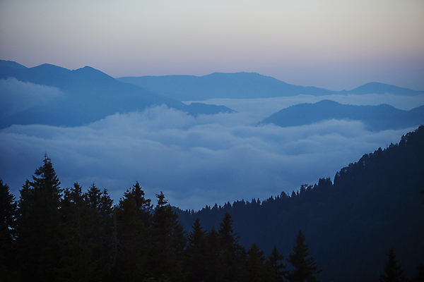 포토 JPG 해외이미지 지붕 굴뚝 사람없음 안개 숲 난로 삼림지대 해외포토 날씨 난방기 파일형식 이미지허브