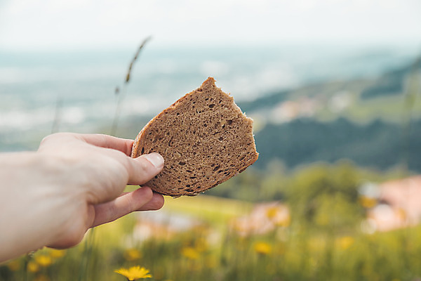 포토 JPG 해외이미지 라이프스타일 공원 꽃 빵 여행 자연 휴식 산 샌드위치 국립공원 풍경 잔디 사람없음 야외 초록색 여름 소풍 하이킹 전원 시골 오스트리아 일시정지 점심식사 절정 해외포토 식물 계절 공공시설 유럽 음식 컬러 컨셉 레저 생활 야외활동 식사 전기에너지 생태계 파일형식 이미지허브