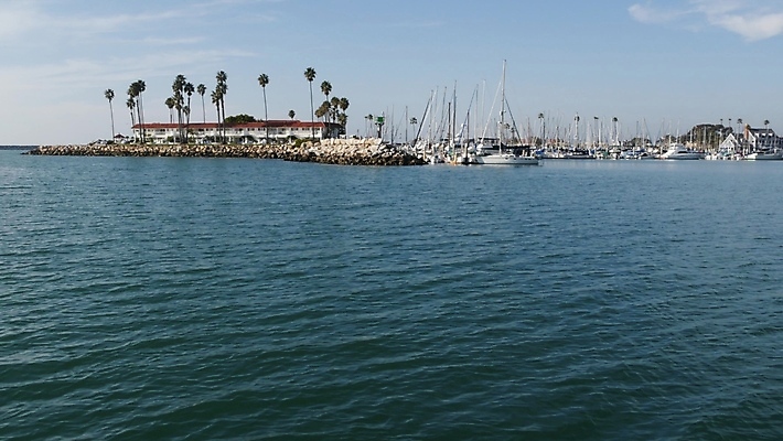 포토 JPG 해외이미지 바다 여행 요트 휴가 항해 사람없음 물 여름 야자수 항구 미국 만 보트 함선 해안도시 캘리포니아 포트 해외포토 자연요소 나무 계절 북아메리카 배_교통 교통시설 도시 파일형식 이미지허브