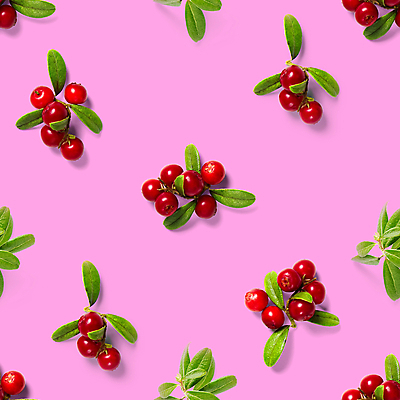 포토 JPG 해외이미지 분홍색 패턴 그림자 사람없음 월귤 해외포토 식물 컬러 무늬 파일형식 이미지허브