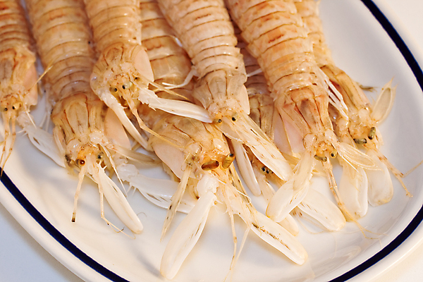 포토 JPG 해외이미지 접시 음식 바다 다이어트 조개 새우 안테나 건강 갑각류 어류 요리 사람없음 빨간색 식당 식사 저녁식사 신선 가시 고급 가재 자르기 먹기 해산물 메뉴 만족 날것 낚시꾼 레시피 성분 비타민 내추럴 고립 집게발 해외포토 동물 식기 감정 컬러 컨셉 통신 모션 어패류 상점 수중동물 영양소 파일형식 이미지허브