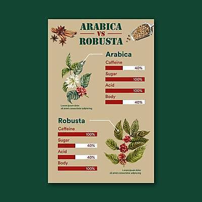 EPS 해외이미지 꽃 포스터 커피 잎 일러스트 그래프 종류 사람없음 카페 원두 비교 메뉴판 베이지색 아라비카 커피나무 커피열매 해외일러스트 나무 식물 열매 음료 컬러 컨셉 상점 파일형식 벡터 이미지허브