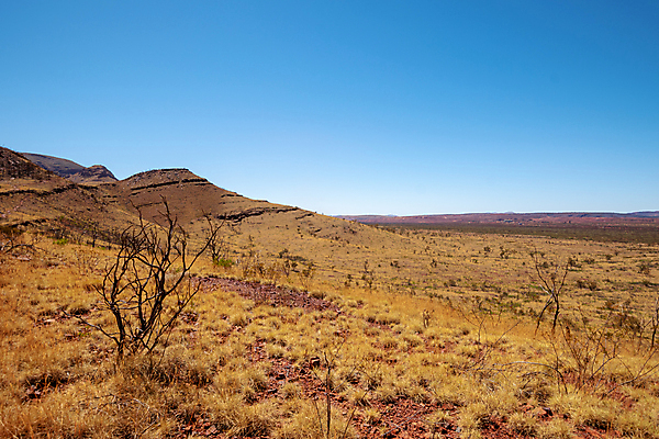 포토 JPG 해외이미지 나무 공원 길 모래 여행 오렌지 자국 자연 휴가 산 건조 풍경 사람없음 빨간색 여름 관광지 노란색 맑음 보라색 하이킹 사막 암석 바위 오세아니아 호주 그림 엽서 오지 전국 해외포토 식물 계절 공공시설 나라 컬러 과일 레저 날씨 돌_바위 편지 생태계 파일형식 이미지허브