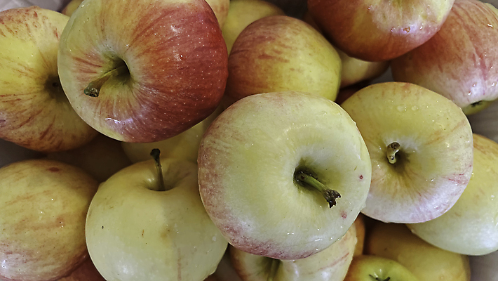 포토 JPG 해외이미지 과일 실내 사람없음 여러개 사과 가득함 해외포토 다수 내부 파일형식 이미지허브