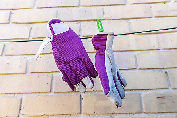 포토 JPG 해외이미지 식물 옷 선 벽 장갑 패턴 바람 벽돌 건조 매달리기 사람없음 야외 갈색 정원 보라색 흰색 빨래 가죽 천 원예 질감 먼지 해외포토 자연요소 잡화 컬러 가사 무늬 모션 날씨 취미 직물 파일형식 이미지허브