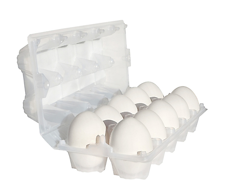 포토 JPG 해외이미지 실내 사람없음 계란 오픈 흰배경 계란판 해외포토 백그라운드 내부 알 흰색 파일형식 이미지허브