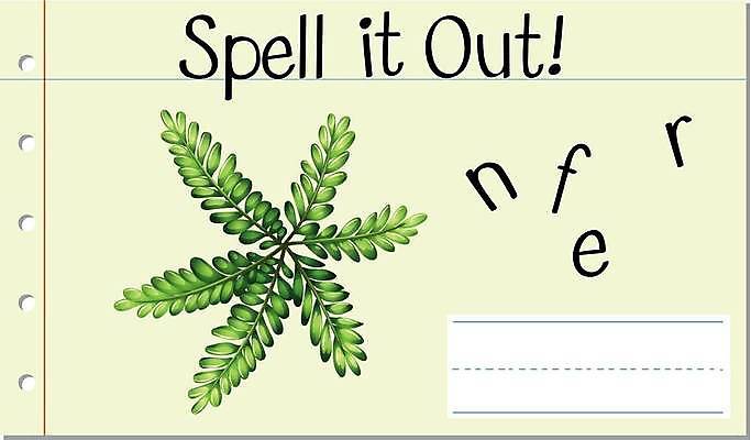 EPS 해외이미지 알파벳 영어 일러스트 영어교육 사람없음 단어 단어조합 단어맞추기 단어카드 양치식물 해외일러스트 식물 문자 교육 맞추기 조합 파일형식 벡터 단어장 이미지허브