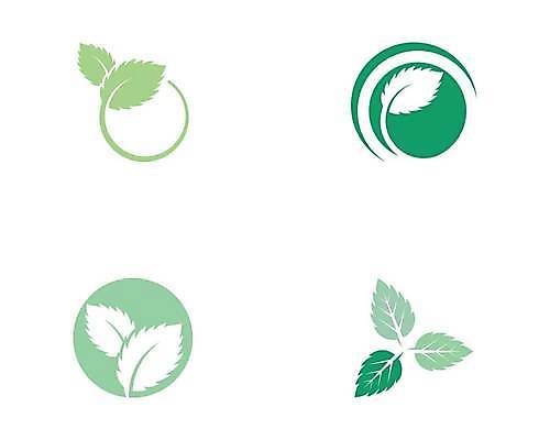 EPS 해외이미지 나무 식물 디자인 실루엣 음식 백그라운드 잎 2 일러스트 자연 추상 건강 미술 그래픽 장식 초록색 여름 세트 검은색 흰색 신선 플랫 차 시원함 민트 허브 심볼 향신료 사인 에코 유기농 윤곽 향 내추럴 고립 엘리먼트 스피아민트 해외일러스트 웰빙 계절 음료 컬러 무늬 문화예술 촬영기법 환경 생태계 향미료 파일형식 벡터 이미지허브