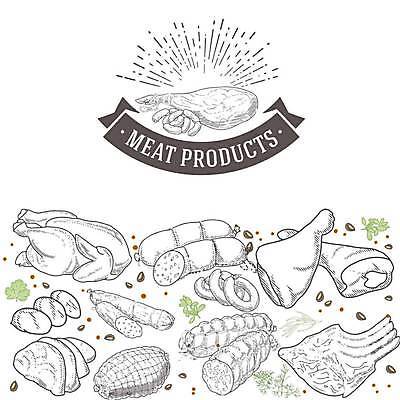 EPS 해외이미지 일러스트 육류 돼지고기 사람없음 닭고기 소고기 소시지 스케치 햄 양고기 정육점 해외일러스트 식재료 미술 상점 가공식품 파일형식 벡터 이미지허브